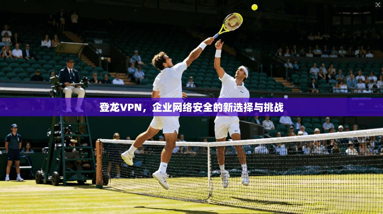 登龙VPN，企业网络安全的新选择与挑战