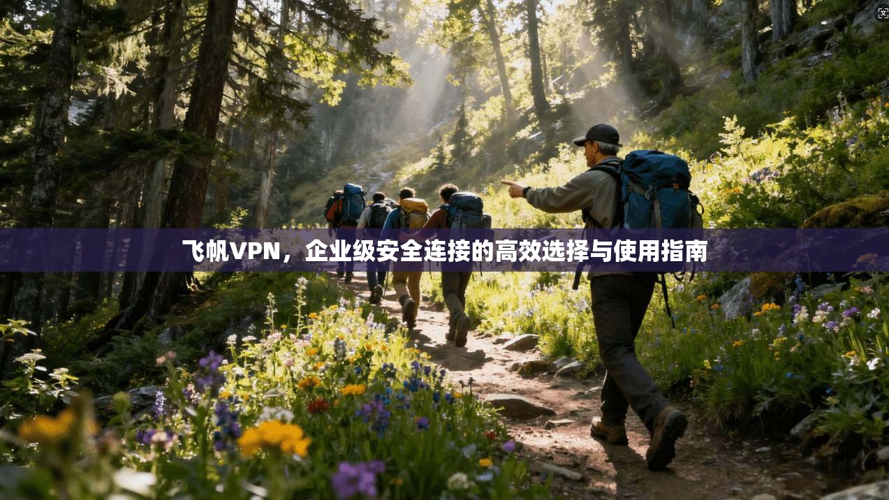 飞帆VPN，企业级安全连接的高效选择与使用指南