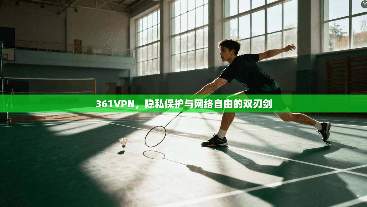 361VPN，隐私保护与网络自由的双刃剑