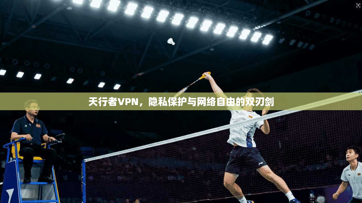 天行者VPN，隐私保护与网络自由的双刃剑