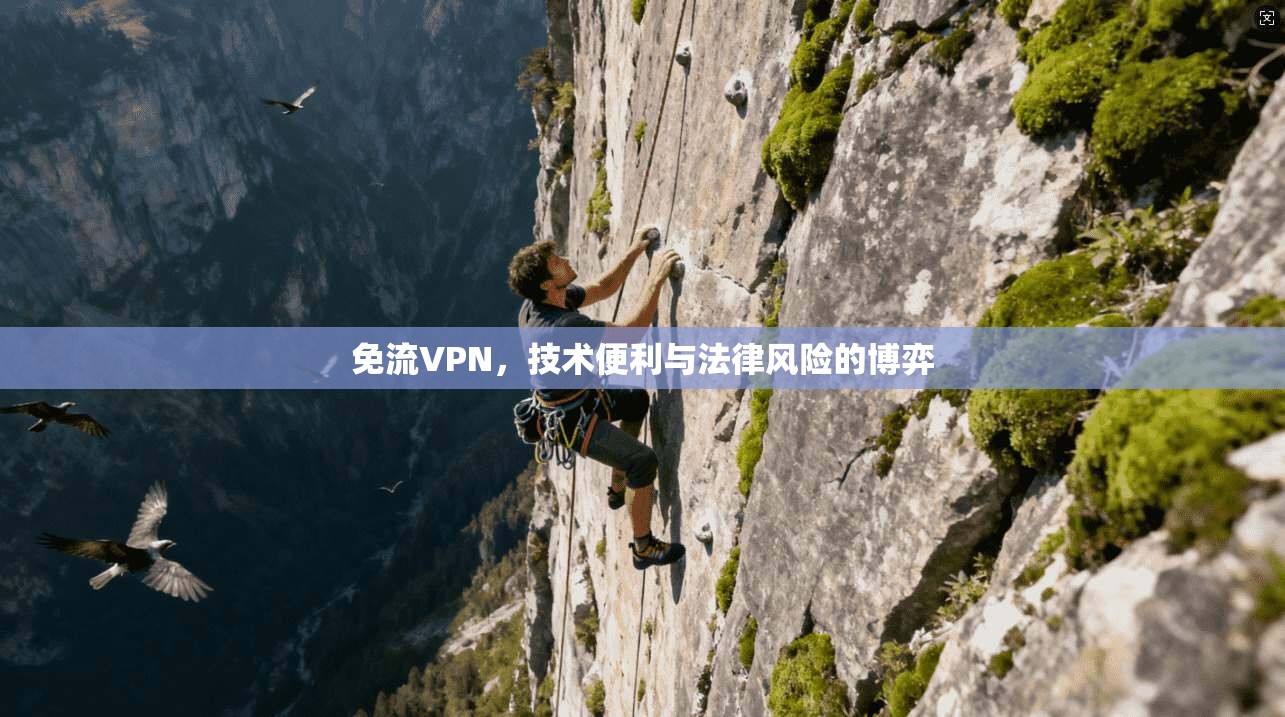 免流VPN，技术便利与法律风险的博弈