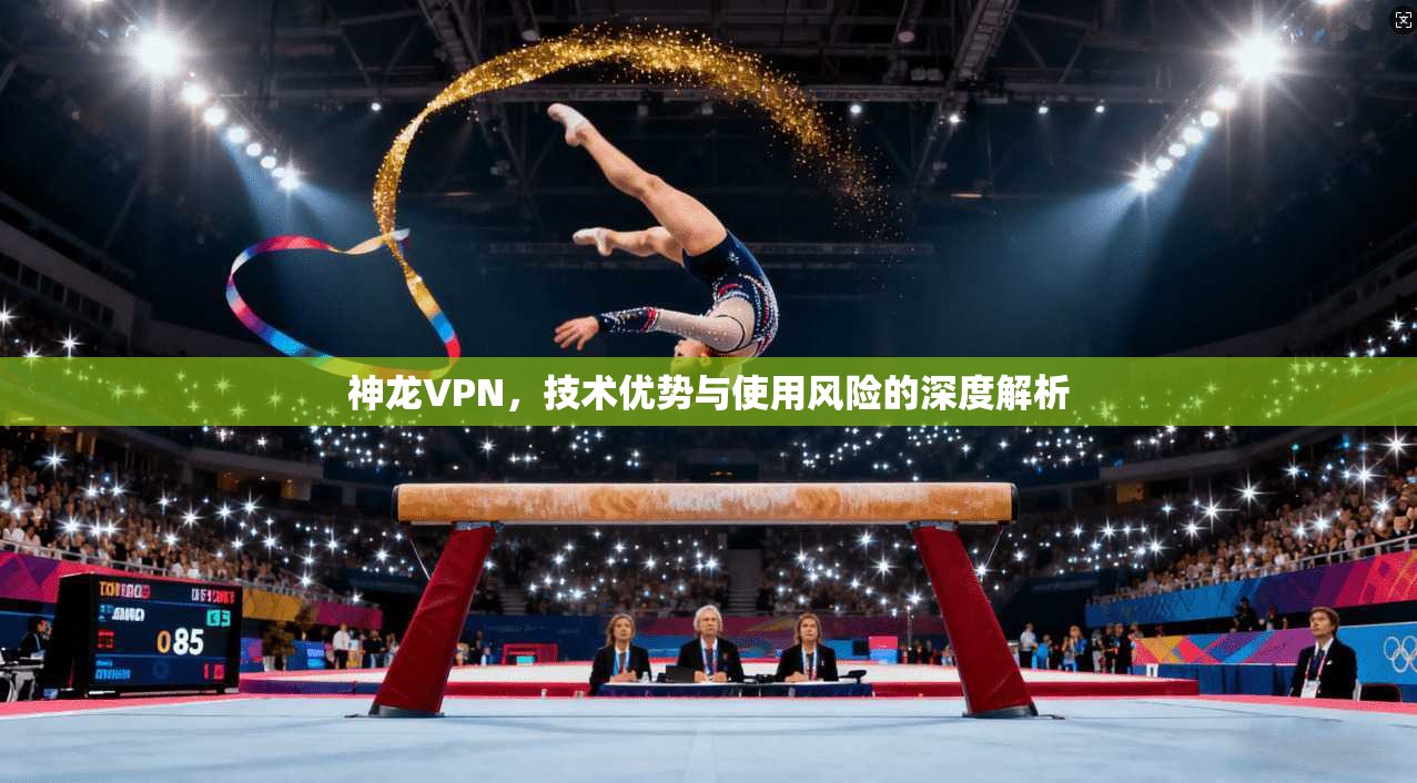 神龙VPN，技术优势与使用风险的深度解析