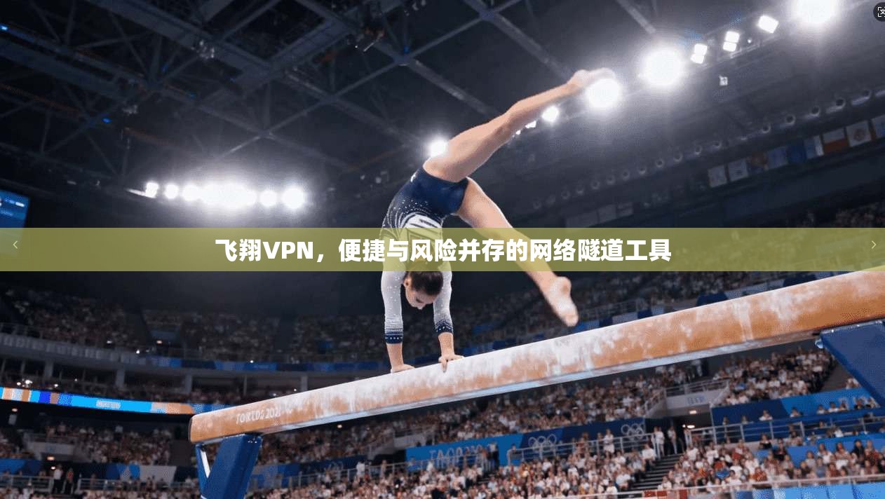 飞翔VPN,便捷与风险并存的网络隧道工具