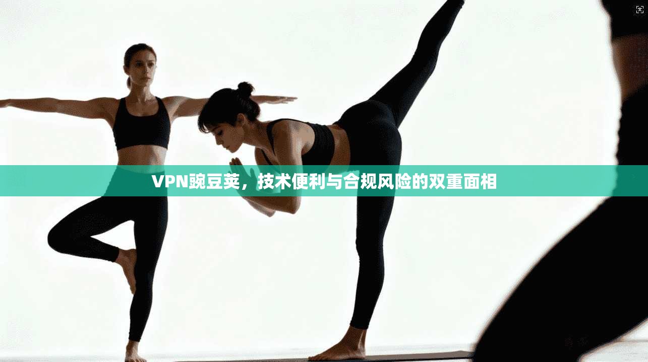 VPN豌豆荚，技术便利与合规风险的双重面相