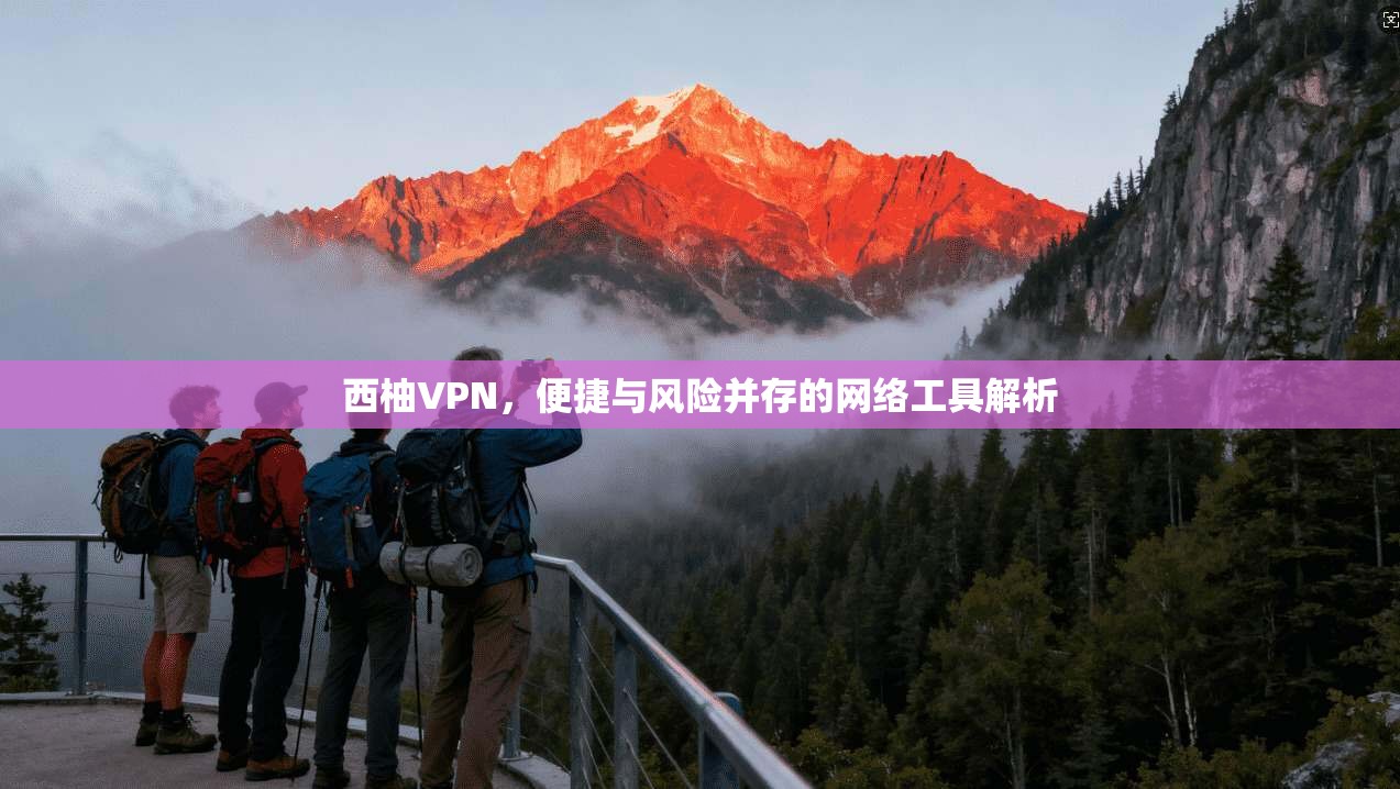 西柚VPN，便捷与风险并存的网络工具解析