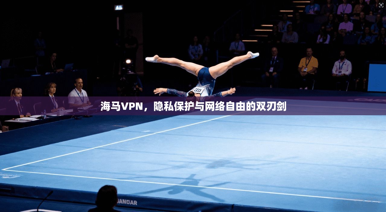 海马VPN，隐私保护与网络自由的双刃剑