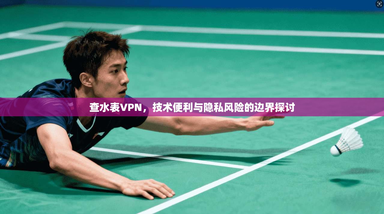 查水表VPN,技术便利与隐私风险的边界探讨