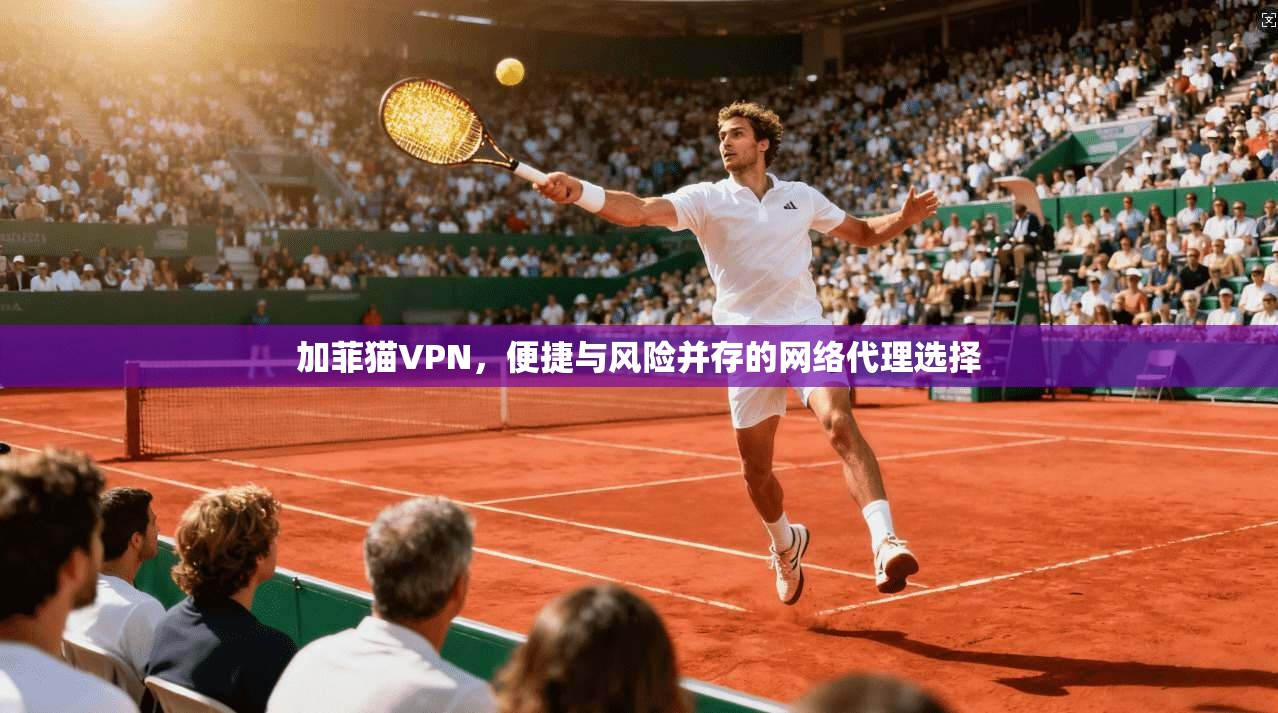 加菲猫VPN，便捷与风险并存的网络代理选择
