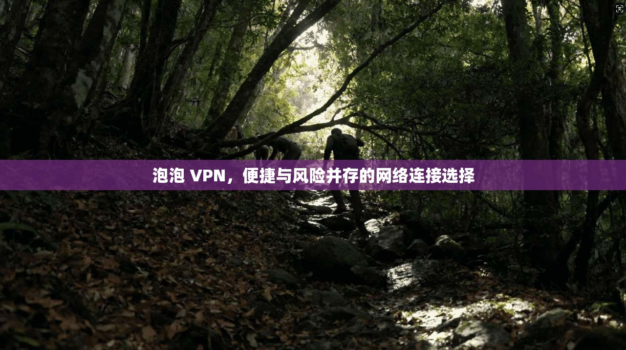泡泡 VPN，便捷与风险并存的网络连接选择