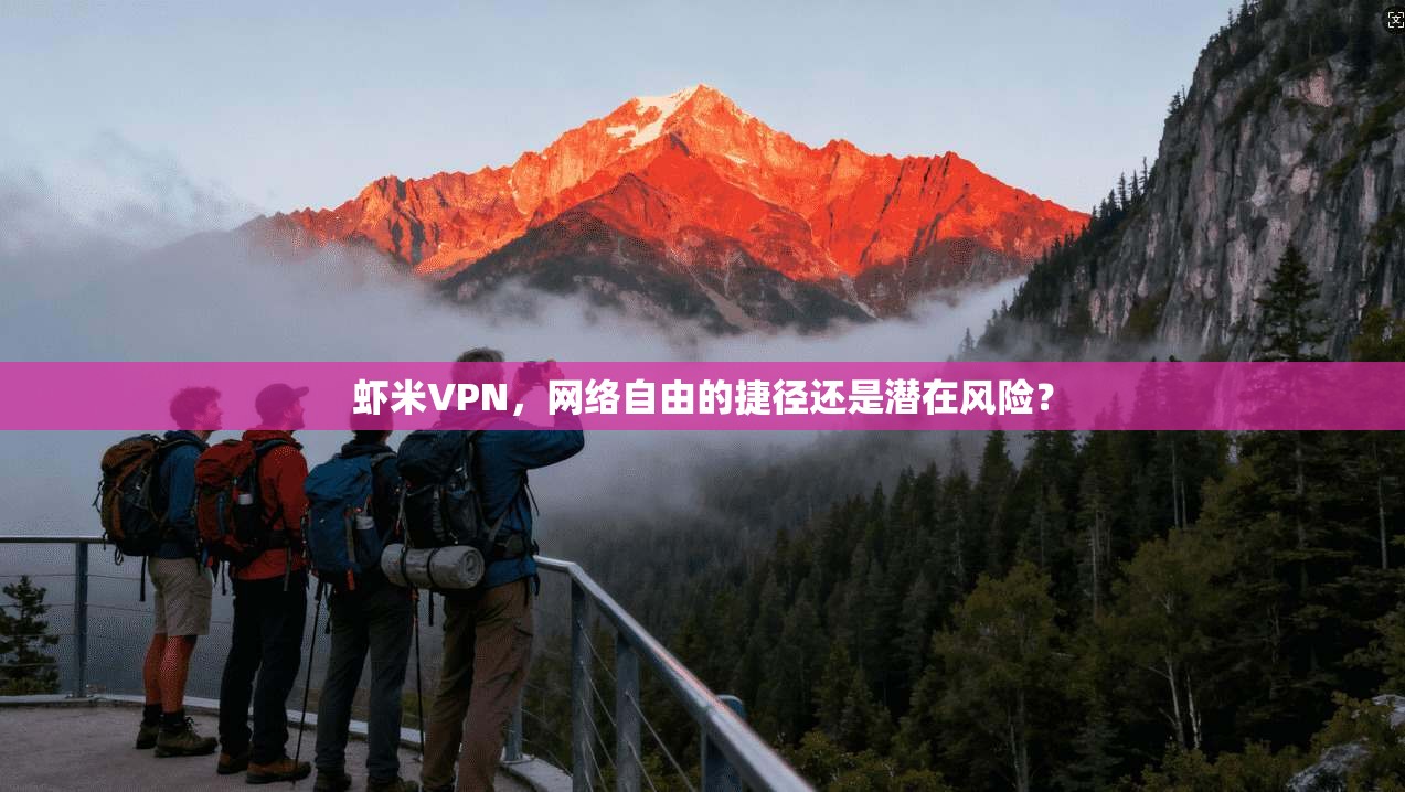 虾米VPN，网络自由的捷径还是潜在风险？