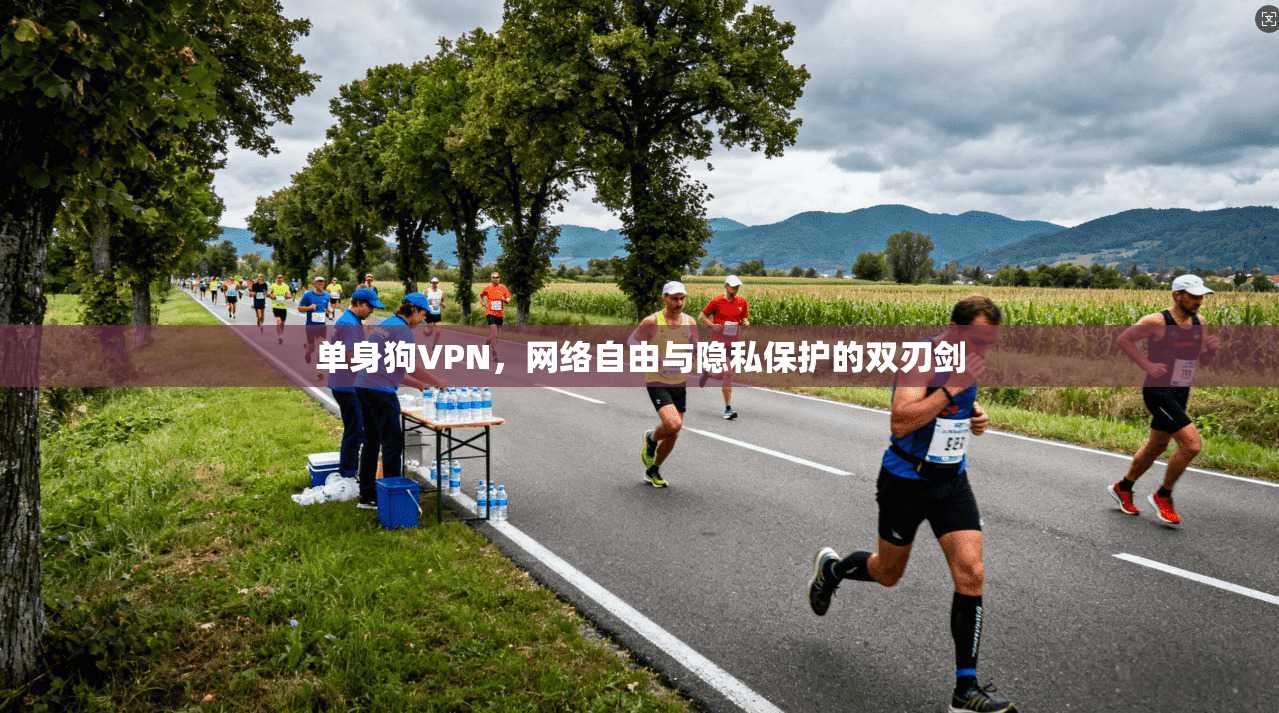 单身狗VPN，网络自由与隐私保护的双刃剑