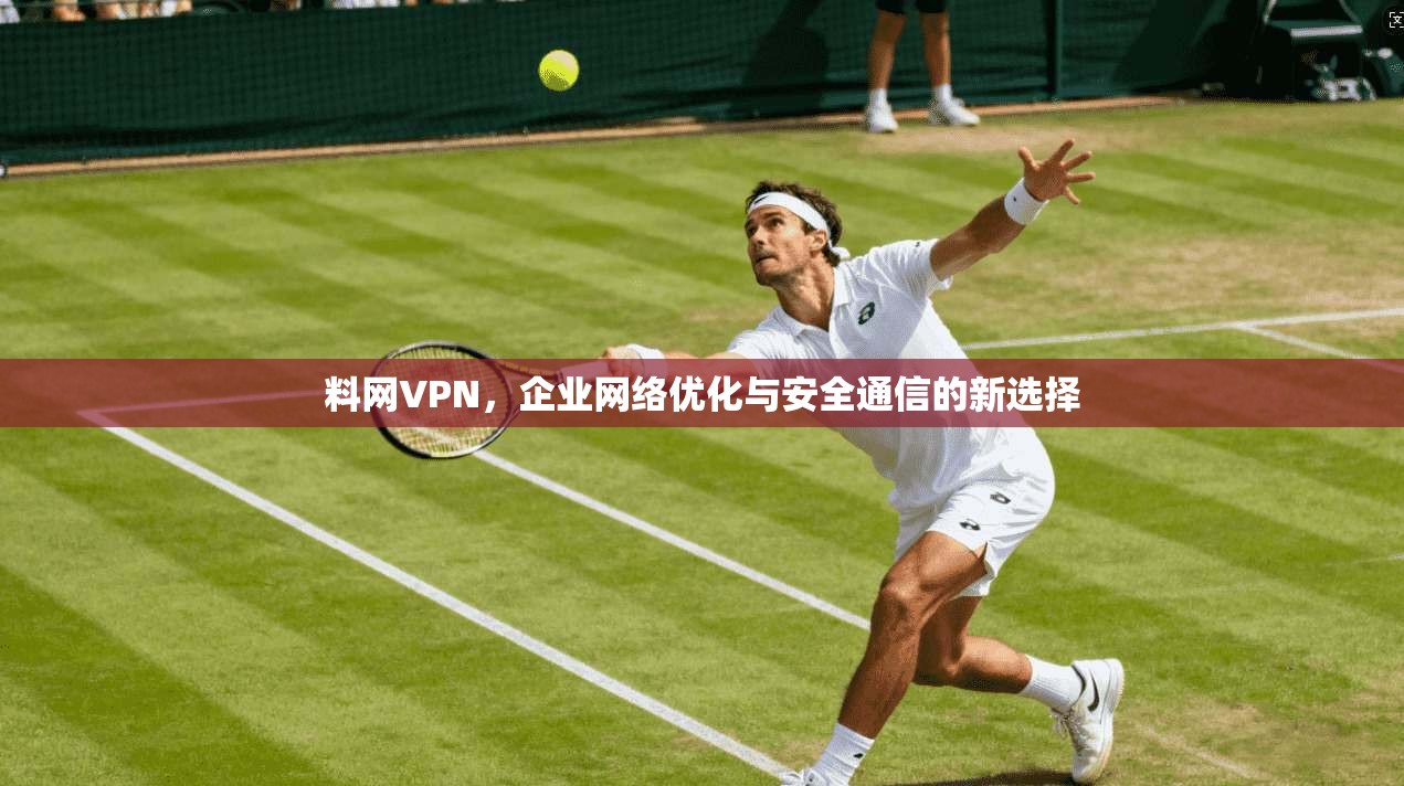 料网VPN，企业网络优化与安全通信的新选择
