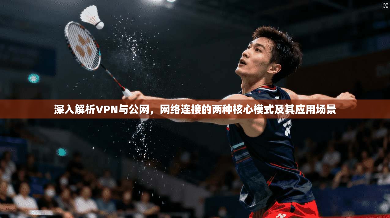 深入解析VPN与公网，网络连接的两种核心模式及其应用场景