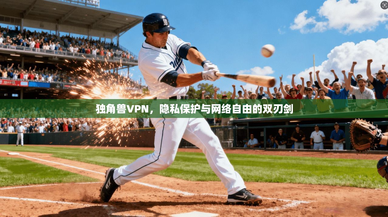独角兽VPN，隐私保护与网络自由的双刃剑