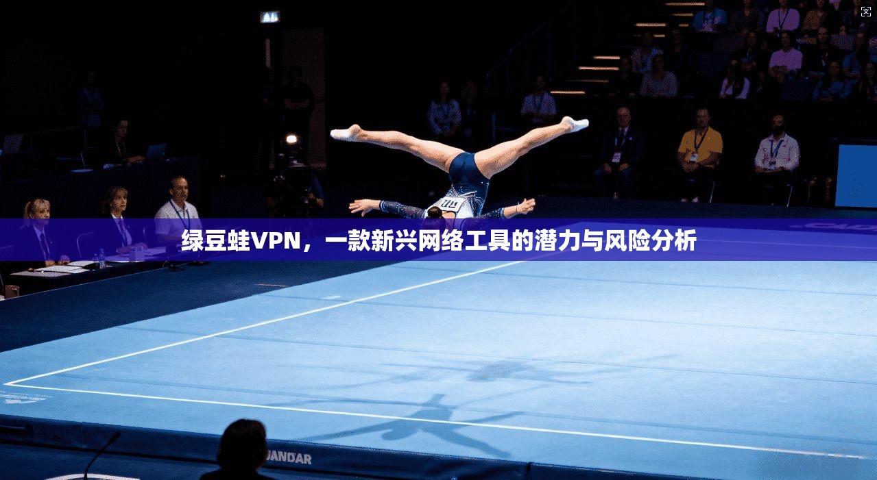 绿豆蛙VPN，一款新兴网络工具的潜力与风险分析