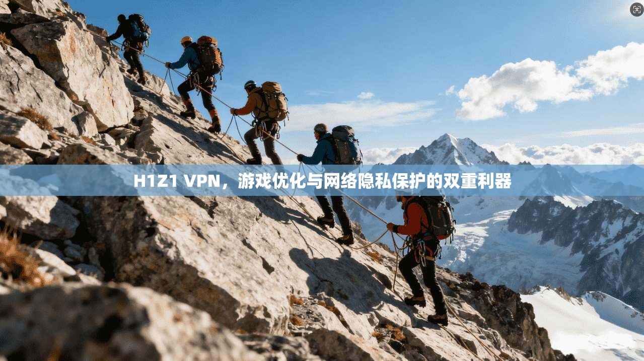 H1Z1 VPN，游戏优化与网络隐私保护的双重利器