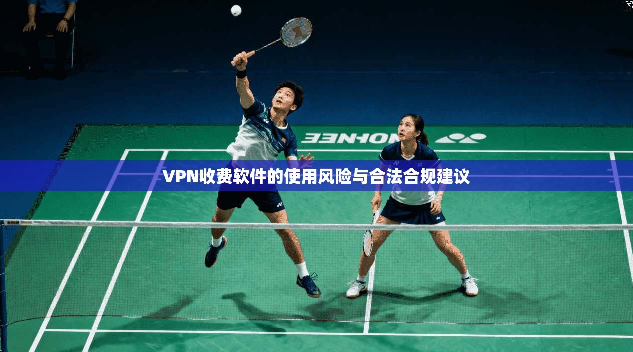 VPN收费软件的使用风险与合法合规建议