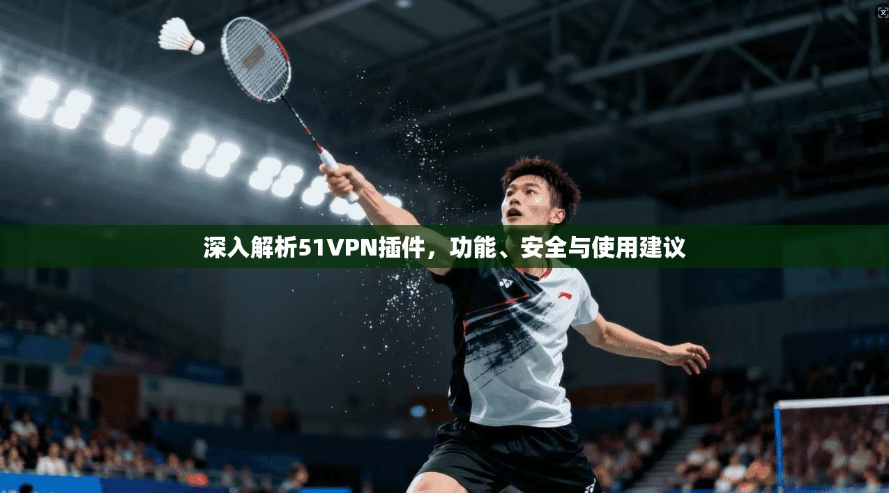 深入解析51VPN插件,功能、安全与使用建议 深入解析51VPN插件,功能、安全与使用建议