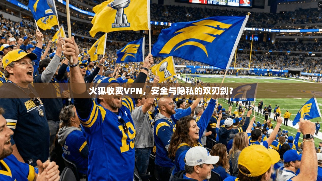 火狐收费VPN,安全与隐私的双刃剑?