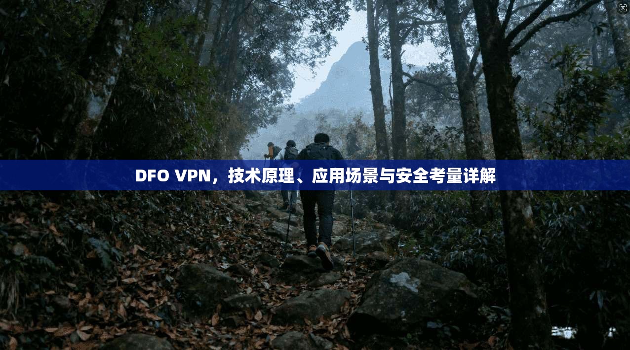 DFO VPN，技术原理、应用场景与安全考量详解
