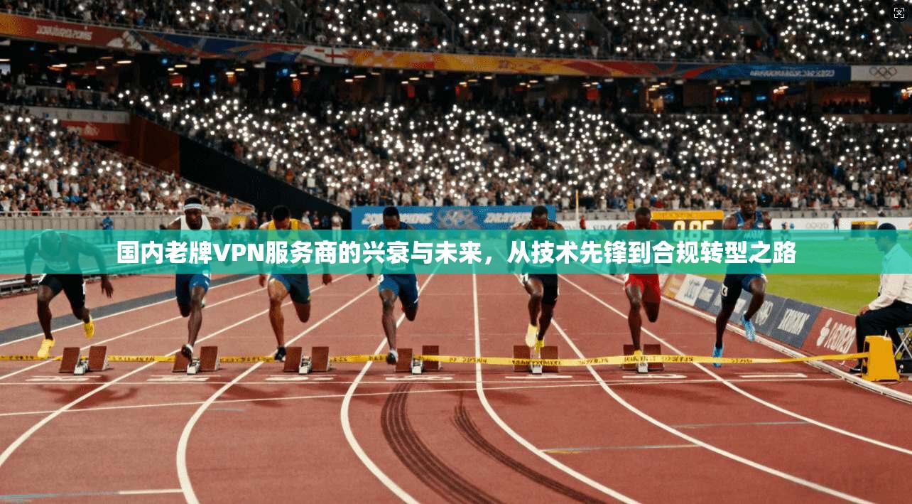 国内老牌VPN服务商的兴衰与未来，从技术先锋到合规转型之路