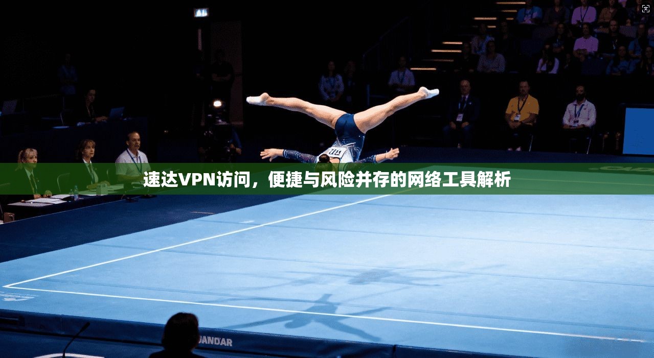 速达VPN访问,便捷与风险并存的网络工具解析