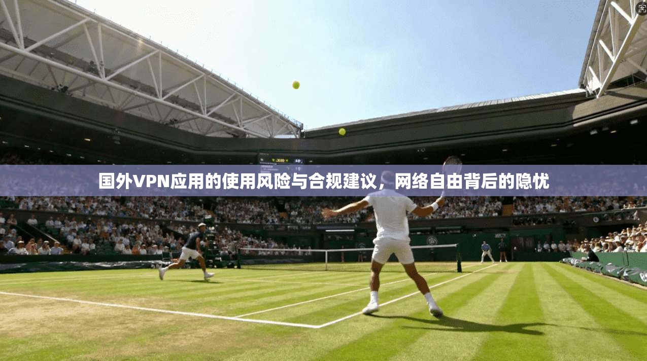 国外VPN应用的使用风险与合规建议，网络自由背后的隐忧