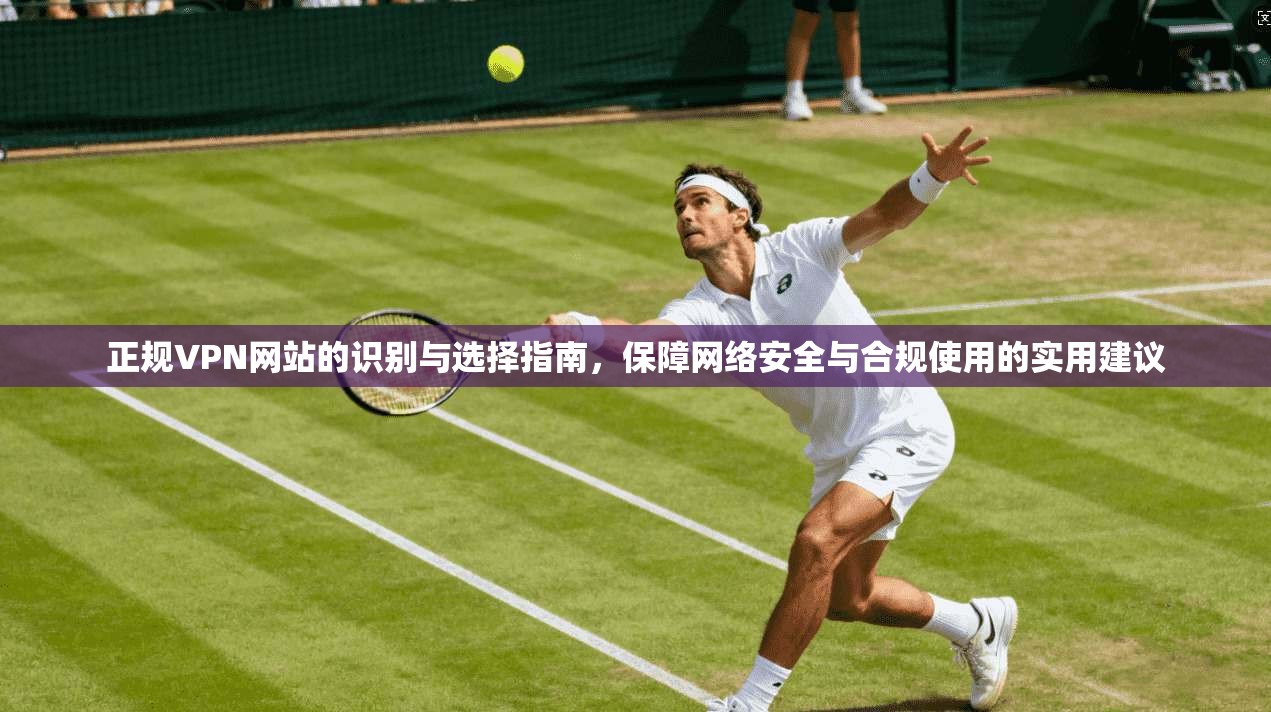 正规VPN网站的识别与选择指南，保障网络安全与合规使用的实用建议
