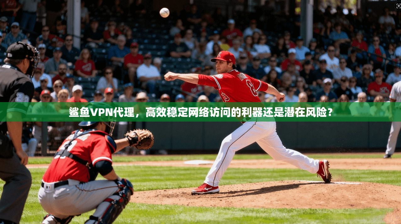 鲨鱼VPN代理，高效稳定网络访问的利器还是潜在风险？
