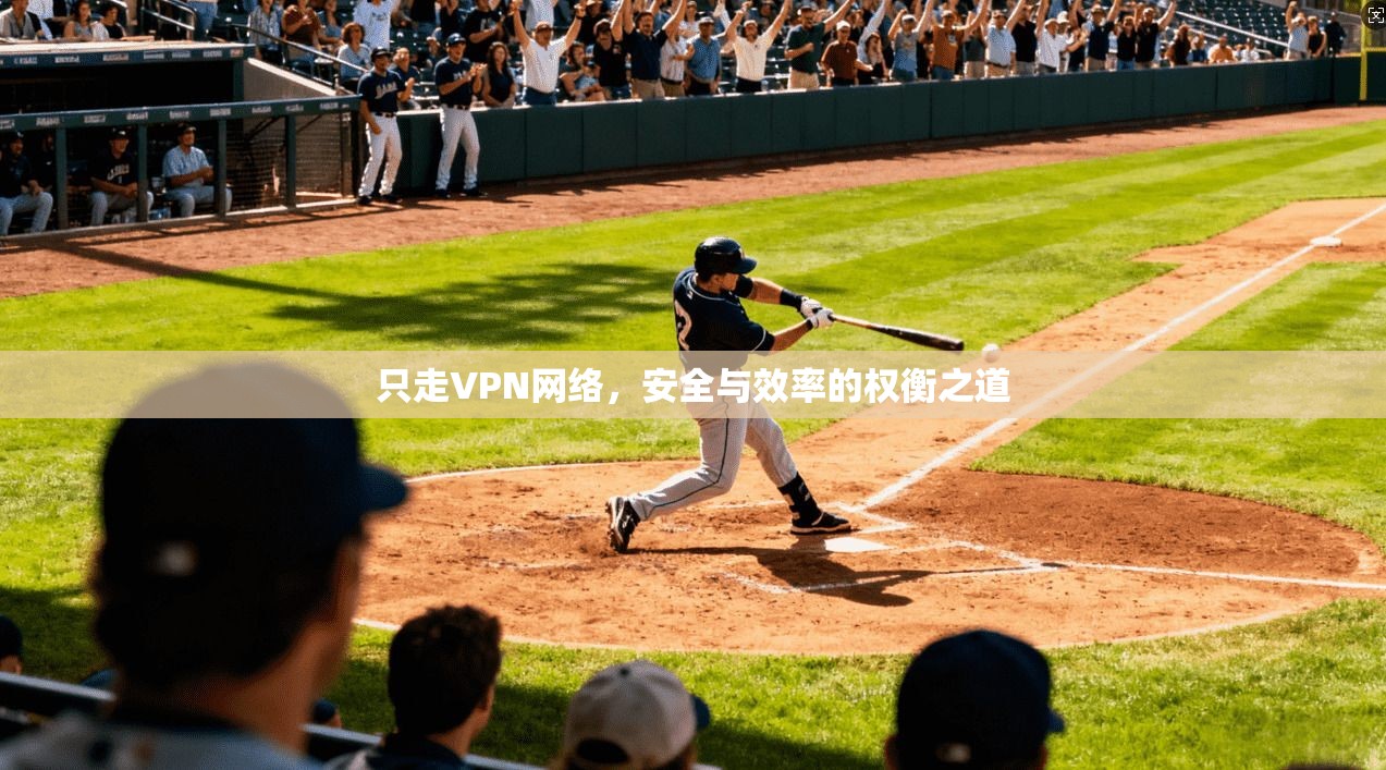 只走VPN网络，安全与效率的权衡之道