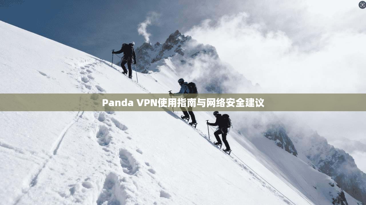 Panda VPN使用指南与网络安全建议