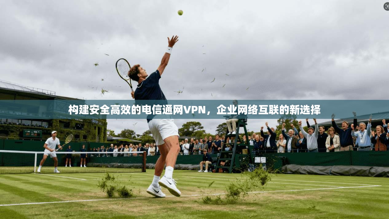 构建安全高效的电信通网VPN，企业网络互联的新选择