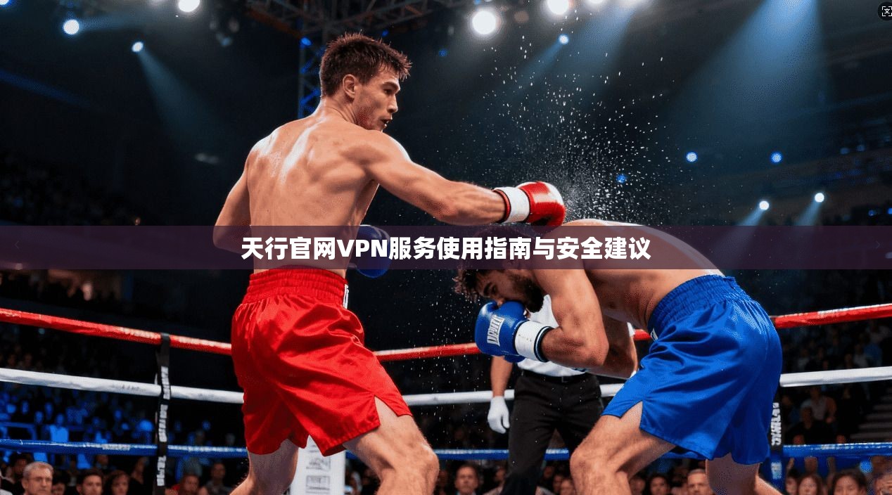 天行官网VPN服务使用指南与安全建议