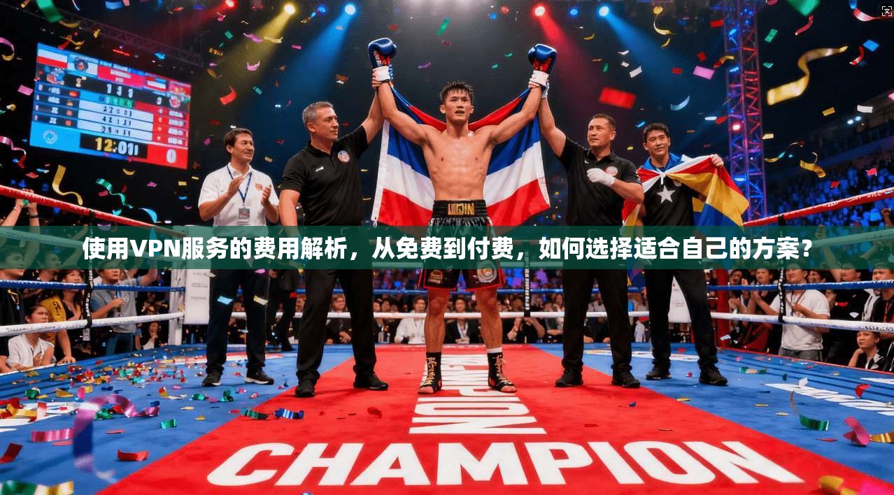 使用VPN服务的费用解析，从免费到付费，如何选择适合自己的方案？