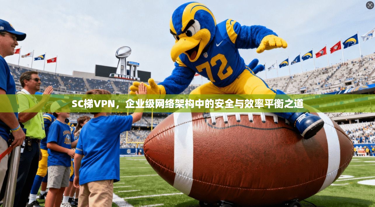 SC梯VPN，企业级网络架构中的安全与效率平衡之道