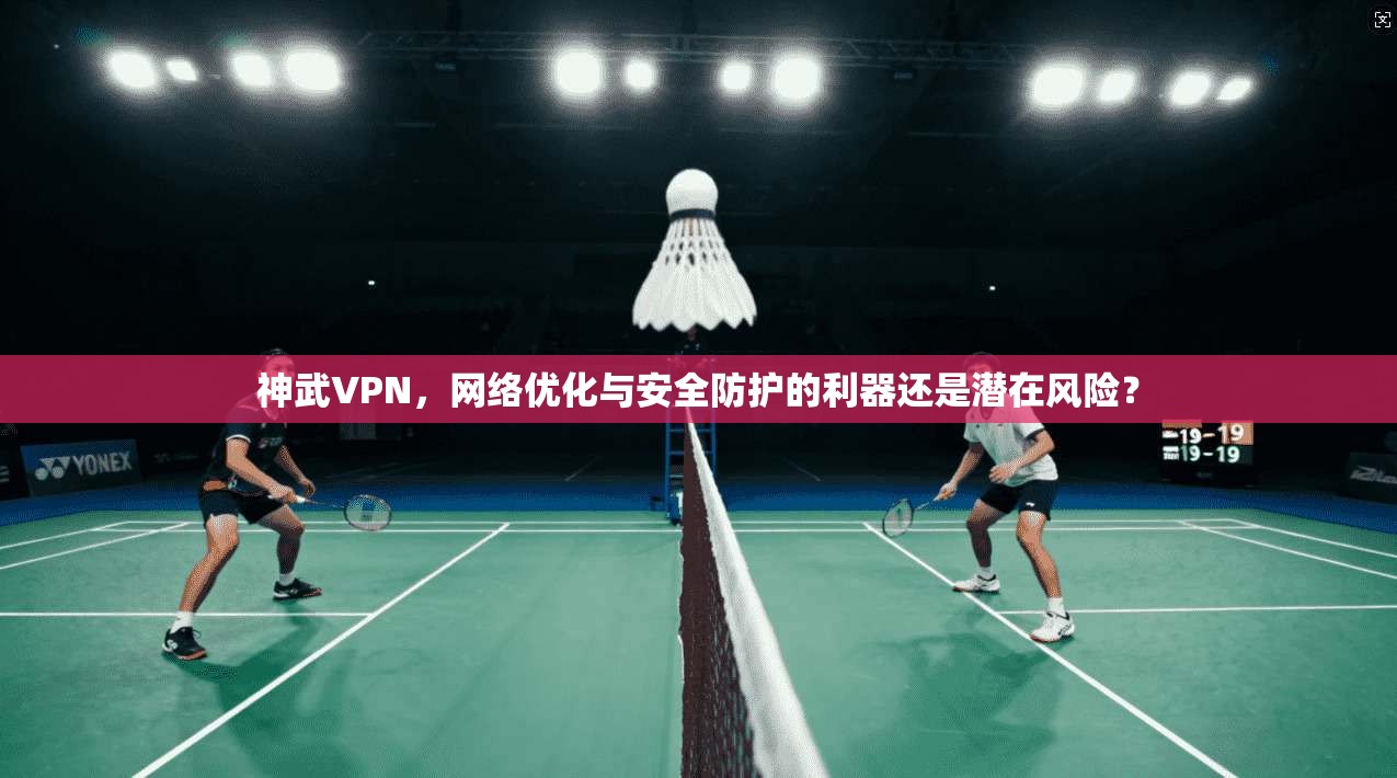 神武VPN，网络优化与安全防护的利器还是潜在风险？