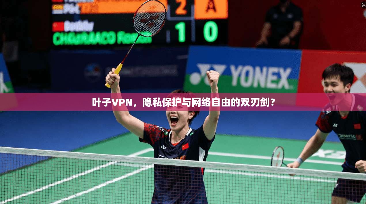 叶子VPN，隐私保护与网络自由的双刃剑？