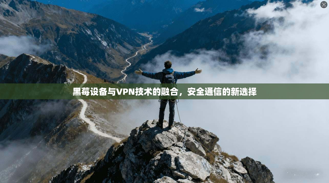 黑莓设备与VPN技术的融合，安全通信的新选择