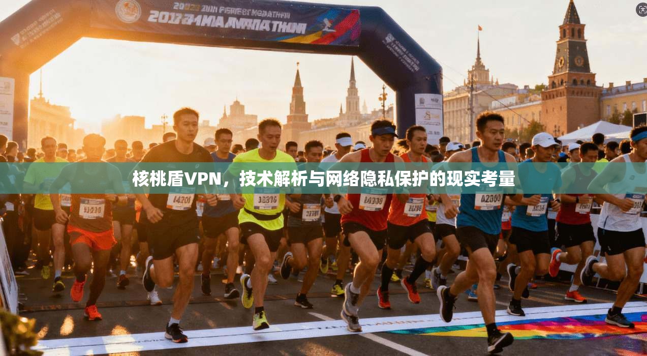核桃盾VPN，技术解析与网络隐私保护的现实考量