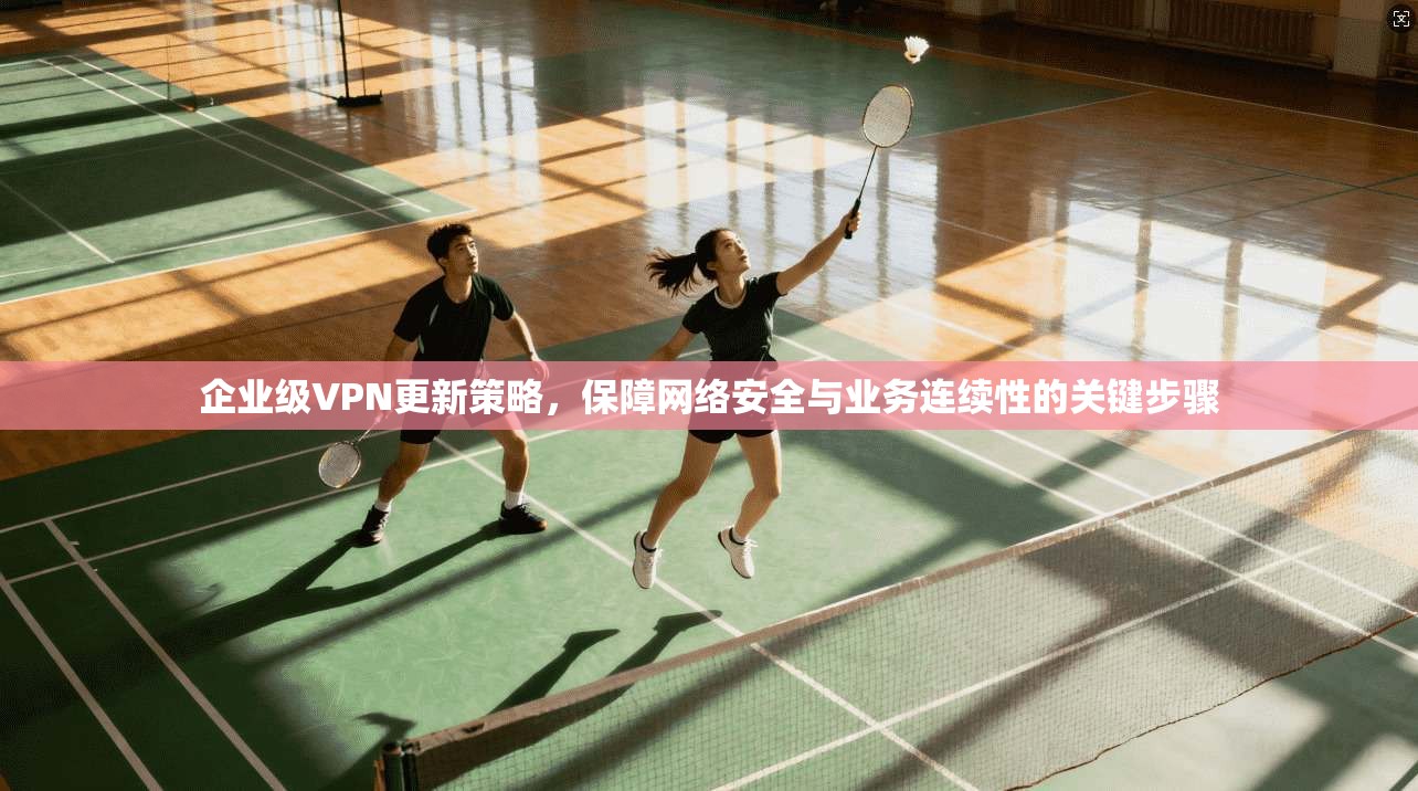 企业级VPN更新策略，保障网络安全与业务连续性的关键步骤
