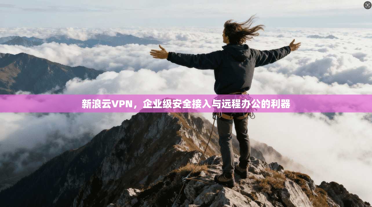 新浪云VPN，企业级安全接入与远程办公的利器