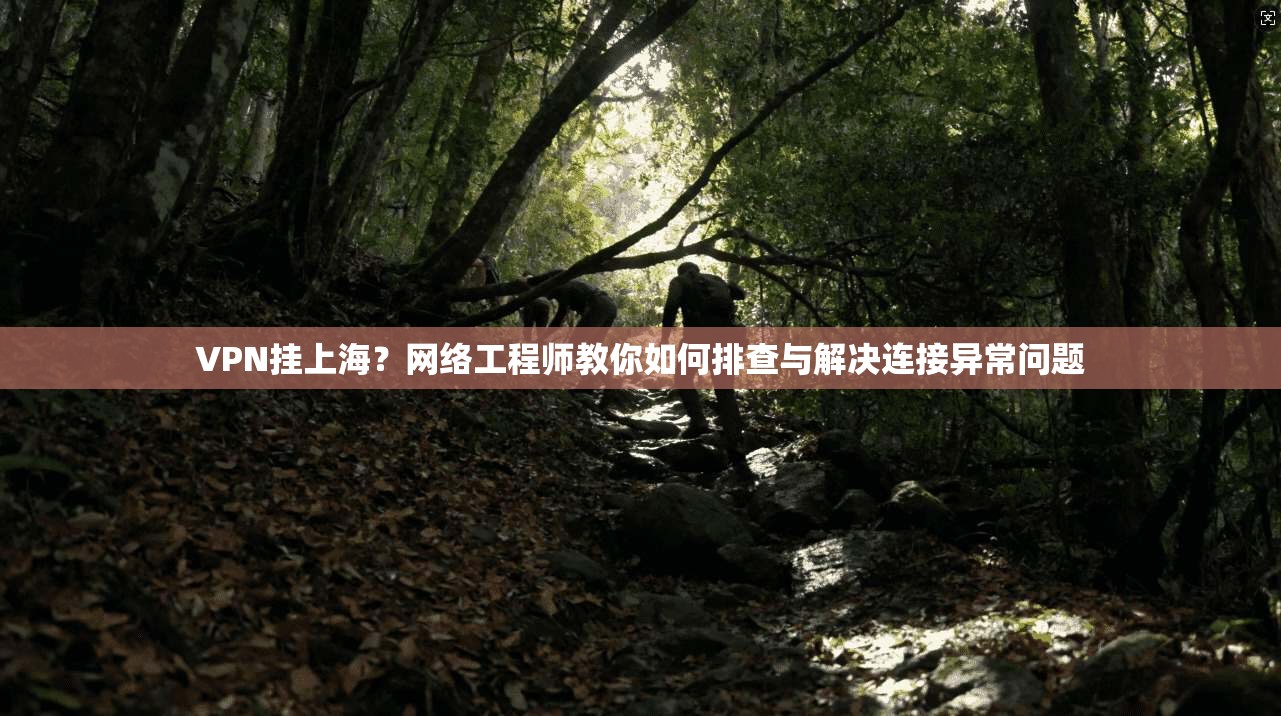 VPN挂上海？网络工程师教你如何排查与解决连接异常问题