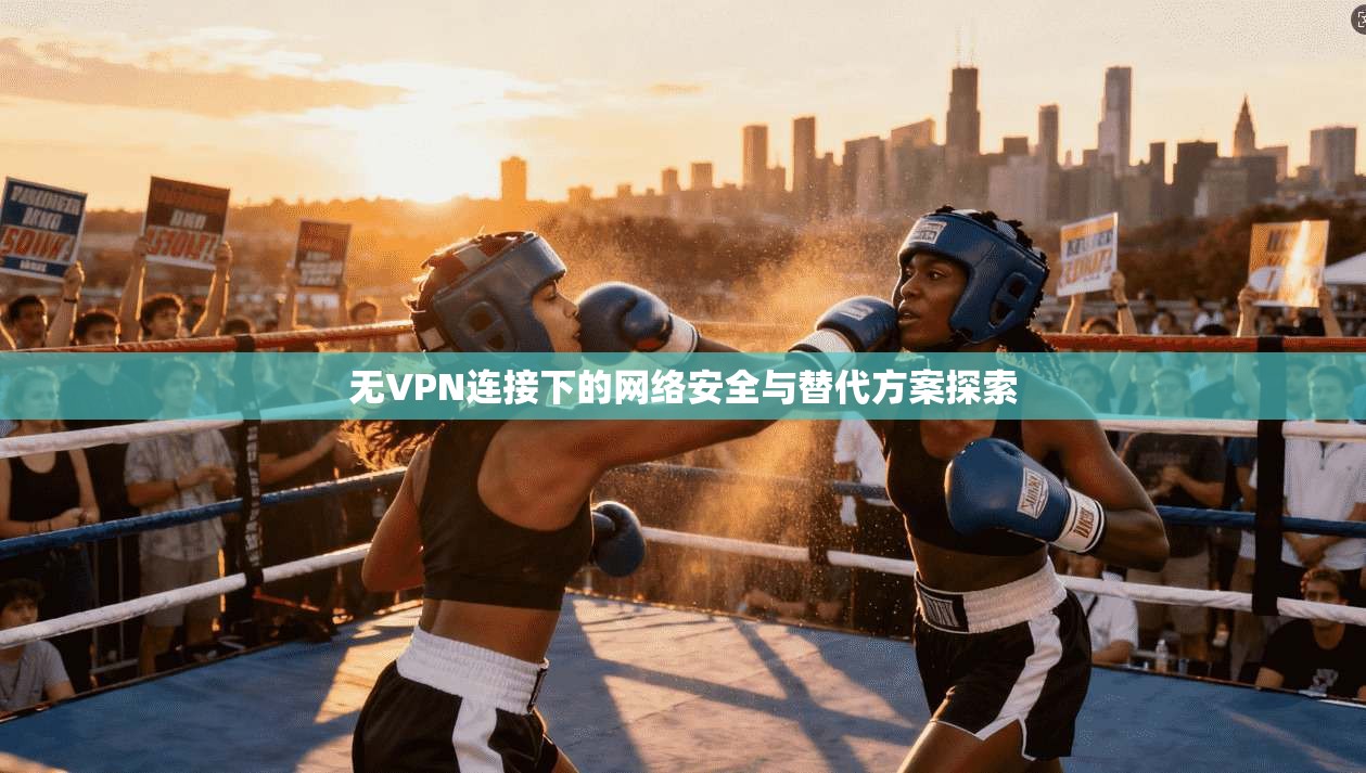无VPN连接下的网络安全与替代方案探索