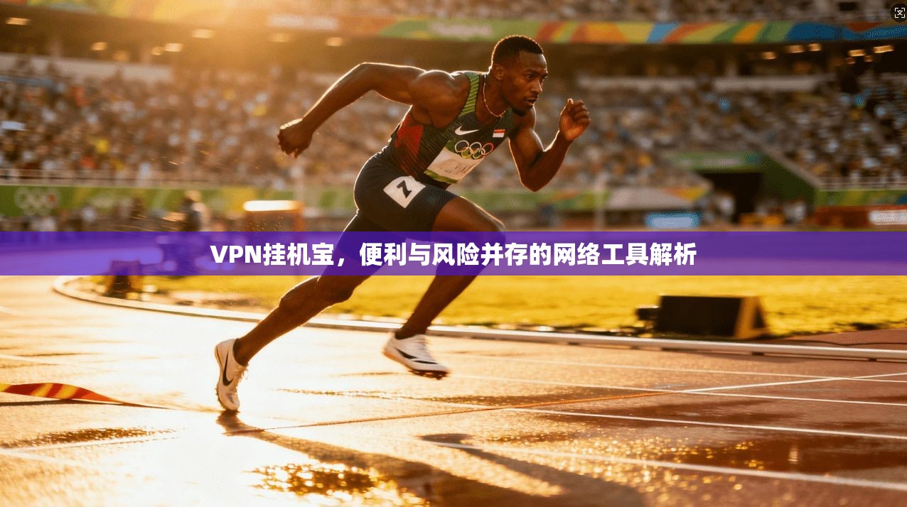 VPN挂机宝，便利与风险并存的网络工具解析