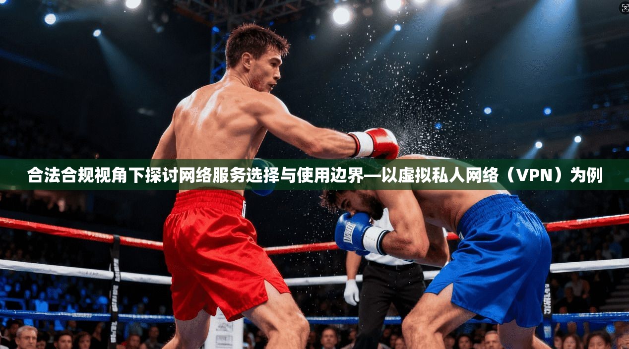 合法合规视角下探讨网络服务选择与使用边界—以虚拟私人网络（VPN）为例