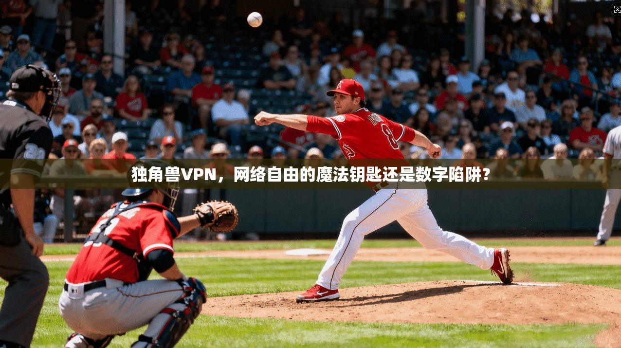 独角兽VPN，网络自由的魔法钥匙还是数字陷阱？