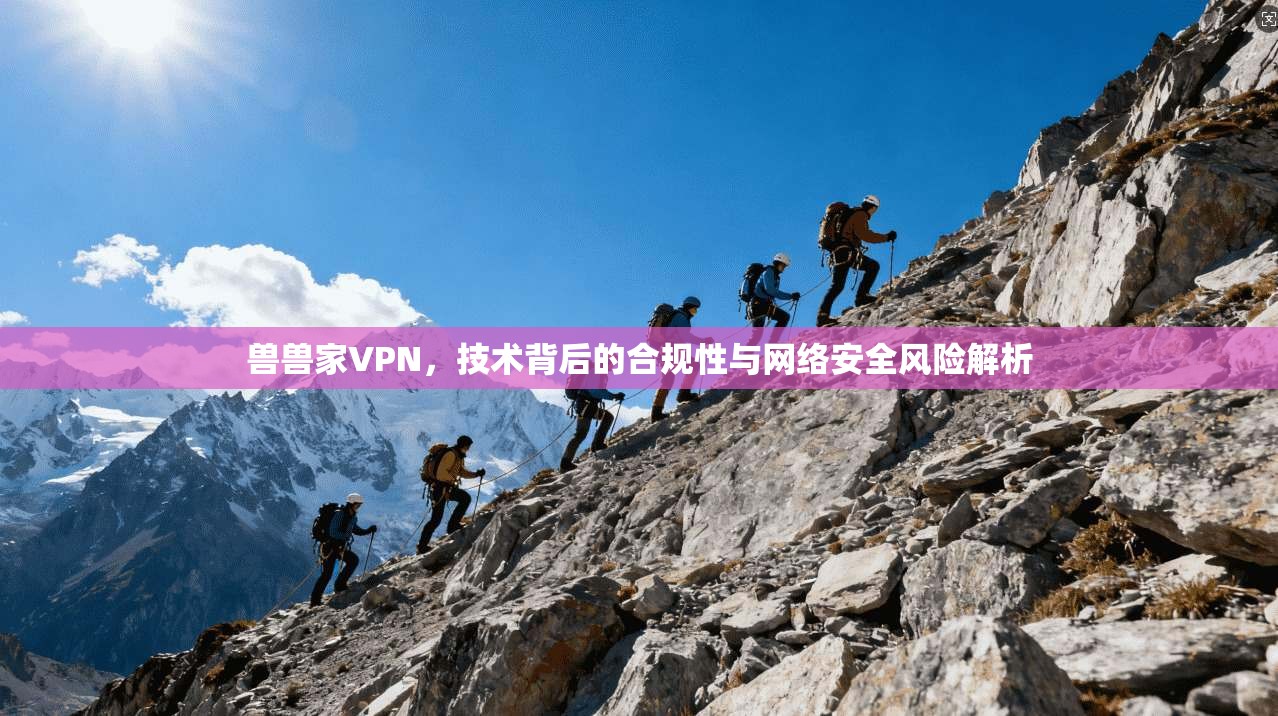 兽兽家VPN，技术背后的合规性与网络安全风险解析