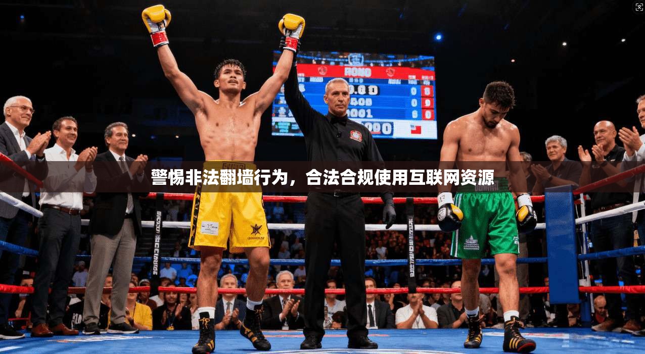 警惕非法翻墙行为，合法合规使用互联网资源