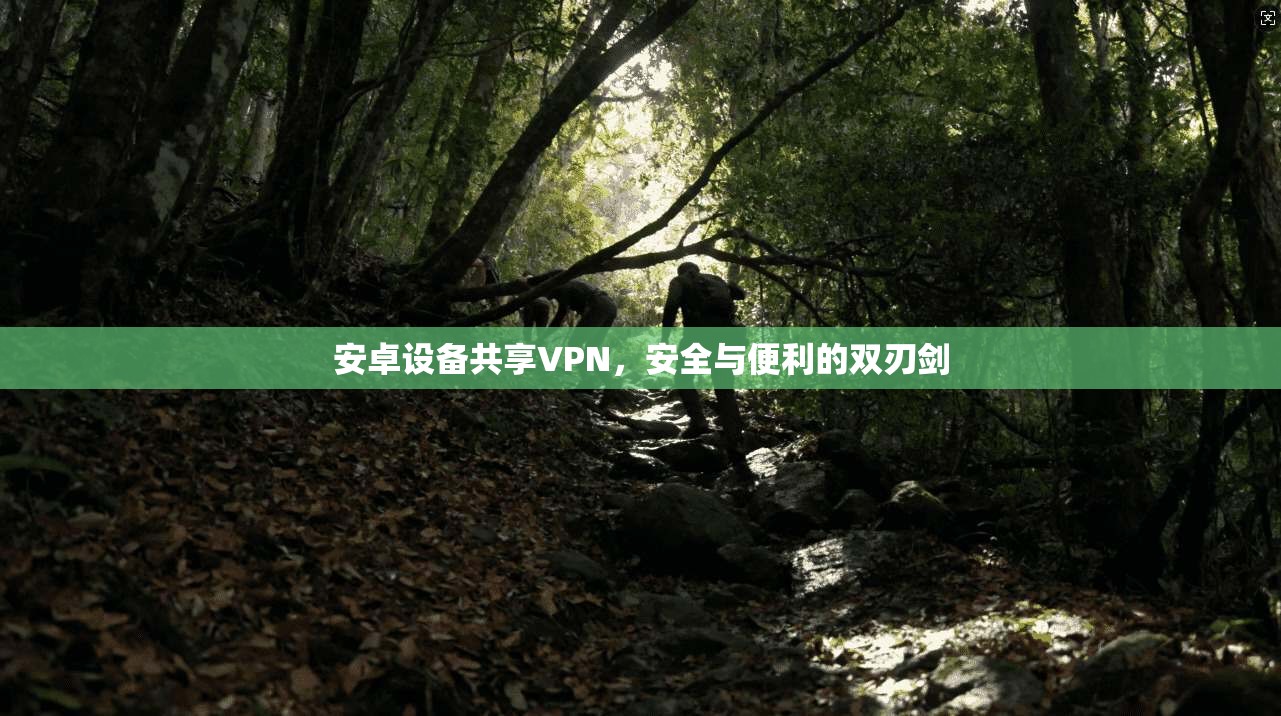 安卓设备共享VPN，安全与便利的双刃剑