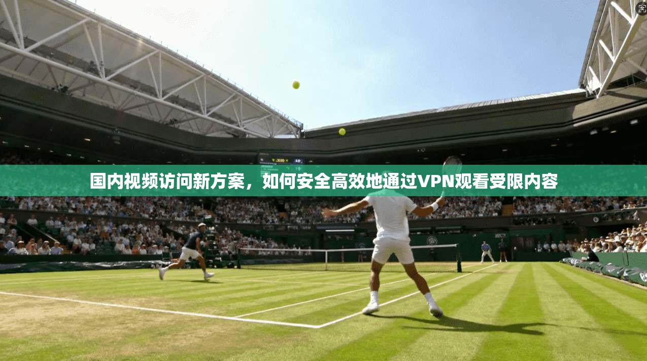 国内视频访问新方案，如何安全高效地通过VPN观看受限内容